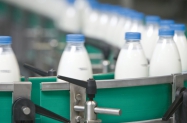 Belje proizvelo 35 milijuna litara mlijeka