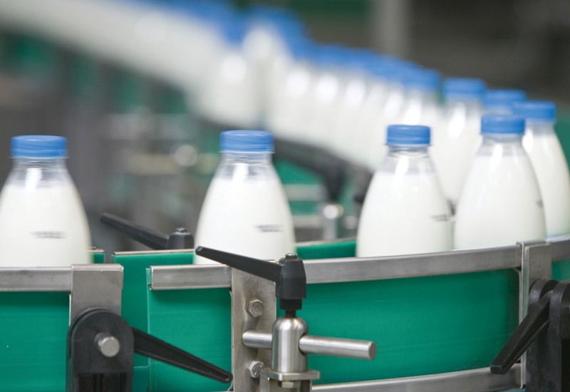Belje proizvelo 35 milijuna litara mlijeka